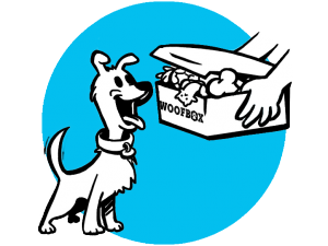 Uma ilustração de um cachorro sorrindo recebendo sua Woofbox