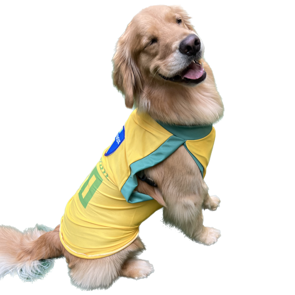 camiseta seleção Brasil para cachorro da woofbox