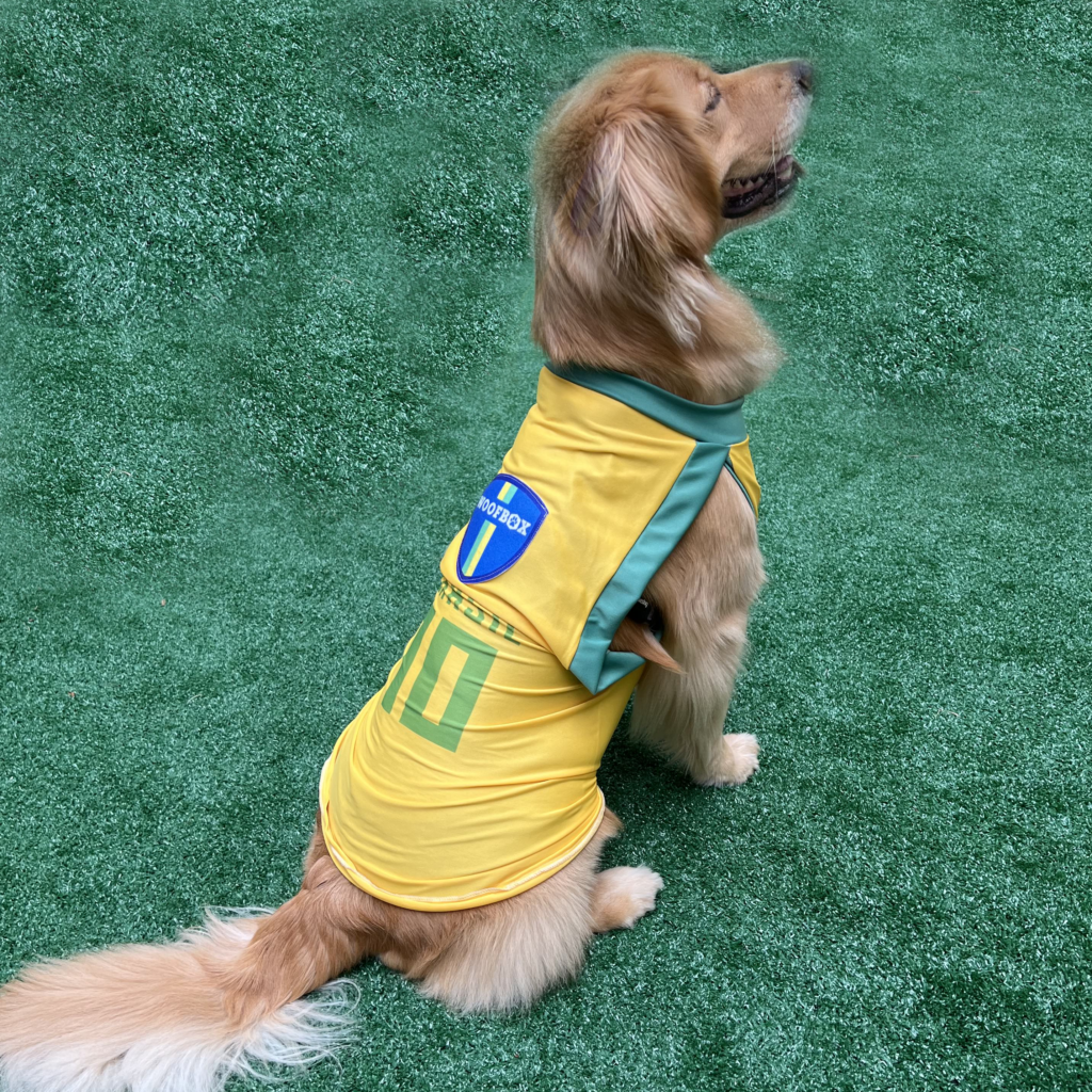 camiseta seleção Brasil para cachorro
