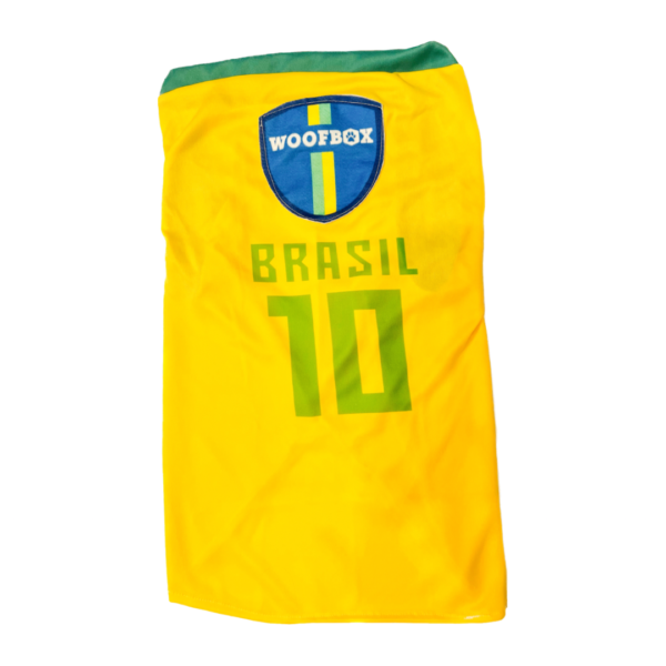 camiseta seleção Brasil para cachorro
