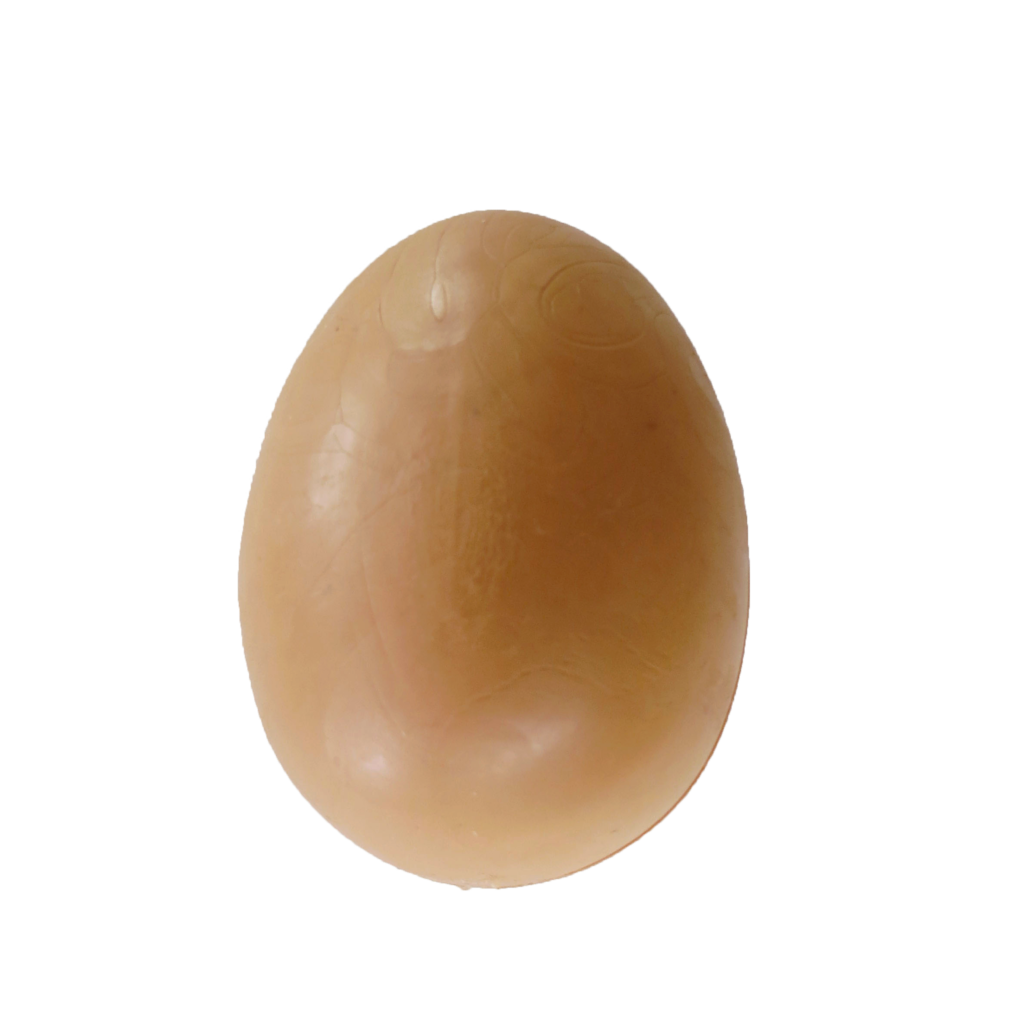 mordedor ovo avestruz de borracha para cães